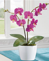 Dekorativní Květina - Orchidej Lila