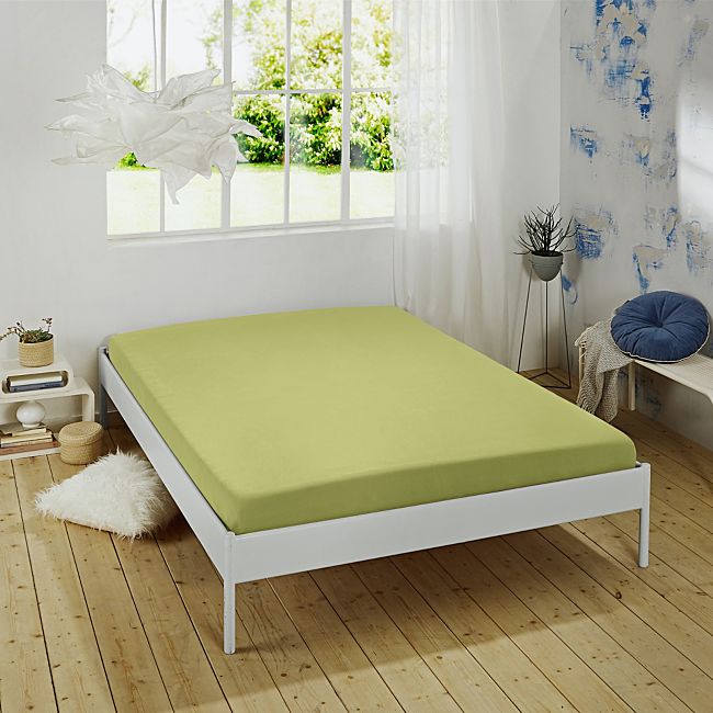 BIO - Prostradlo - Lipov Zele - Multi Stre - Jersey