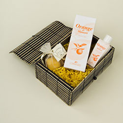 Drkov Sada - Pomeran I - Bambusov Box